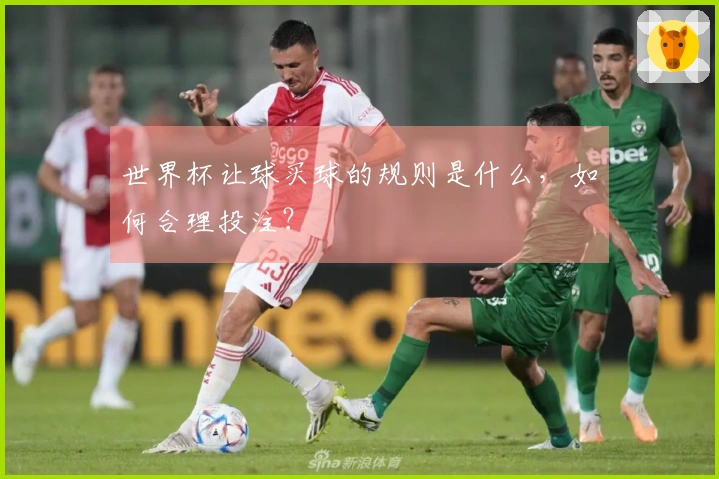 世界杯让球买球的规则是什么，如何合理投注？