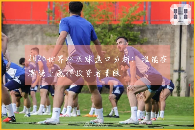2026世界杯买球盘口分析：谁能在赛场上赢得投资者青睐