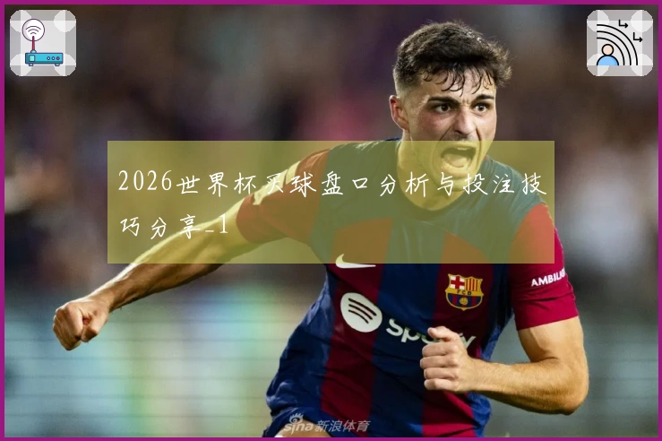 2026世界杯买球盘口分析与投注技巧分享_1