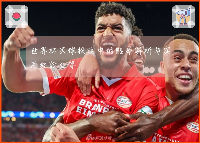 世界杯买球投注中的赔率解析与实用经验分享