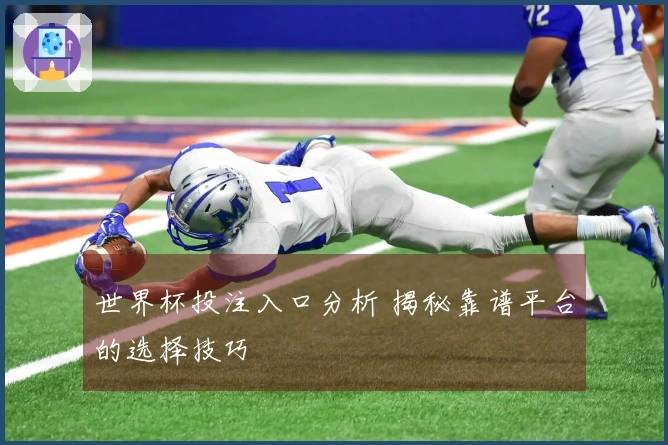 世界杯投注入口分析 揭秘靠谱平台的选择技巧