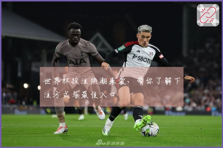 世界杯投注热潮来袭，带你了解下注方式与最佳入口