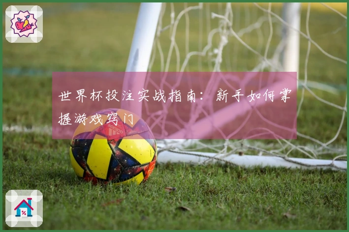 世界杯投注实战指南：新手如何掌握游戏窍门