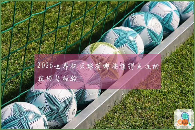 2026世界杯买球有哪些值得关注的技巧与经验