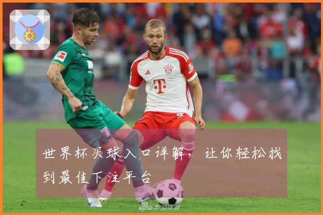 世界杯买球入口详解，让你轻松找到最佳下注平台