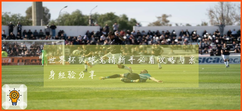 世界杯买球竞猜新手必看攻略与亲身经验分享