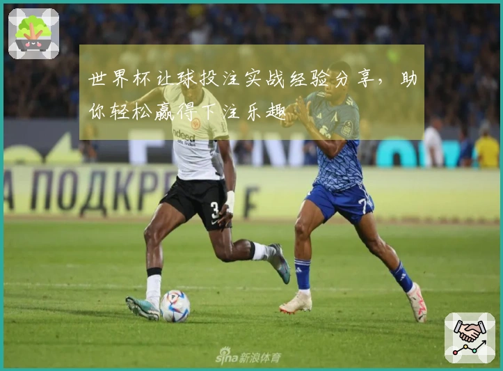 世界杯让球投注实战经验分享，助你轻松赢得下注乐趣