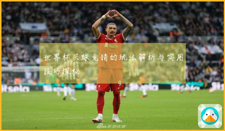 世界杯买球竞猜的玩法解析与实用技巧探秘