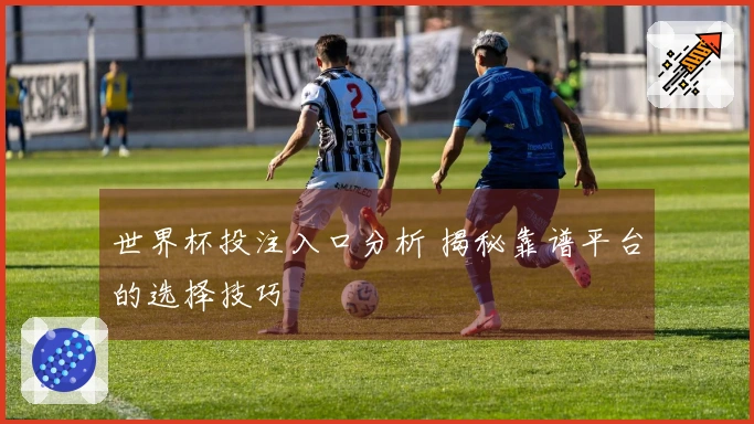 世界杯投注入口分析 揭秘靠谱平台的选择技巧